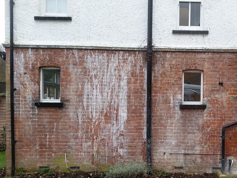 Exterior brick wall covered in paint