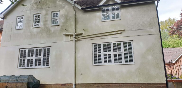 Mould house 2 before
