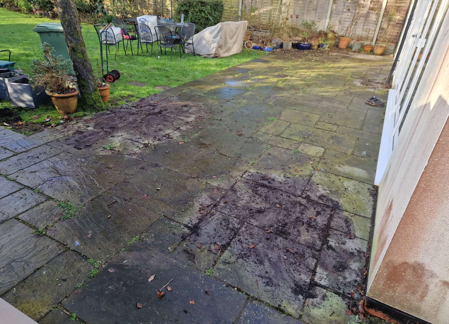 Patio covered in moss, algae and weeds before pressure washing